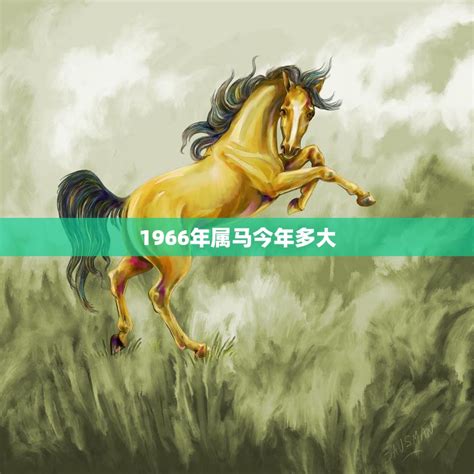 1966馬五行|1966年属马的是什么命，66年出生的马五行属什么